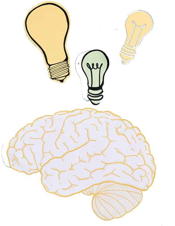 bombillas y cerebro para psicología